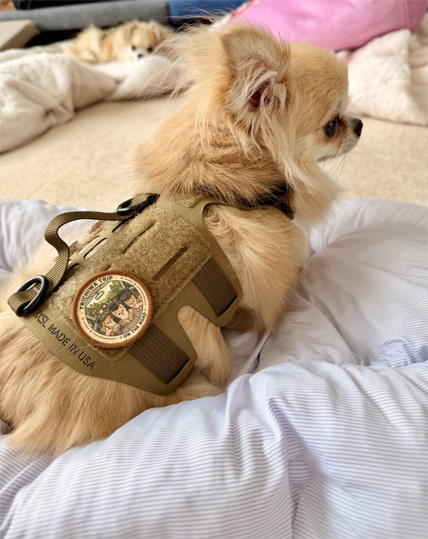 製品画像2